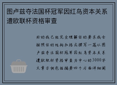 图卢兹夺法国杯冠军因红鸟资本关系遭欧联杯资格审查